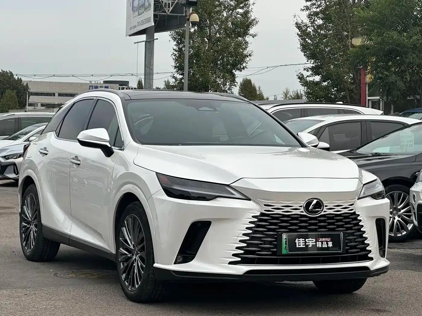 Lexus RX Hybrid 2023 450h+ AWD Enjoy Edition — миниатюра 3