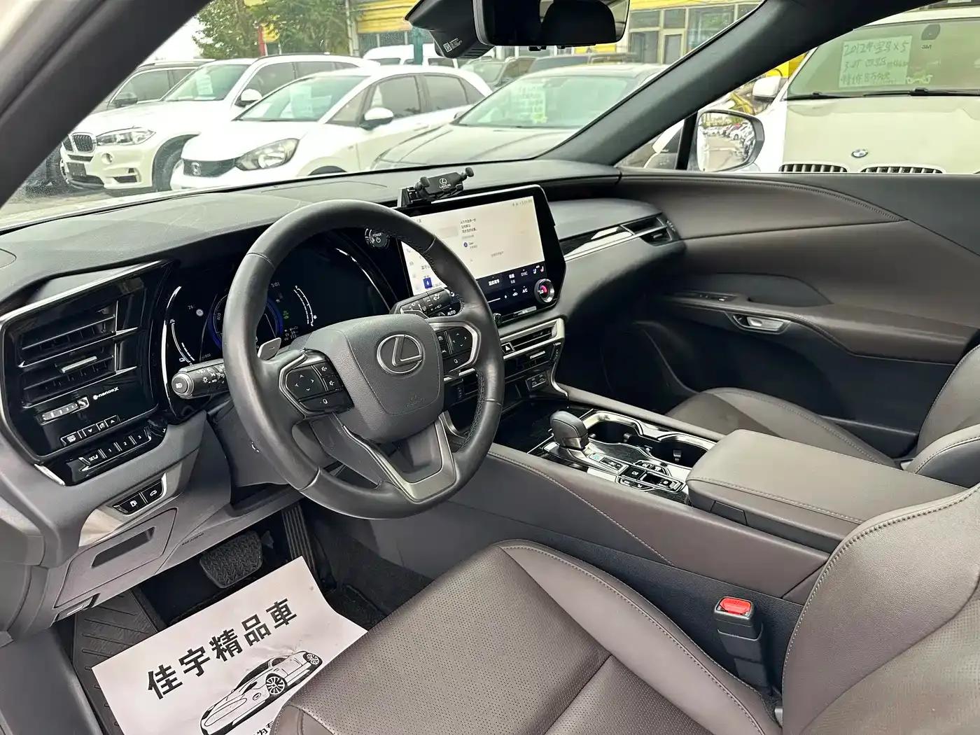 Lexus RX Hybrid 2023 450h+ AWD Enjoy Edition — миниатюра 9