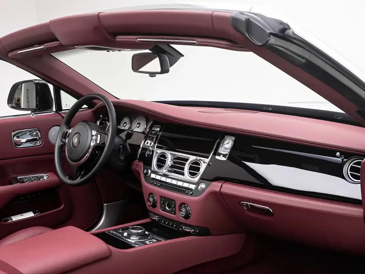 2018 Dawn 6.6T Standard Edition — миниатюра 13