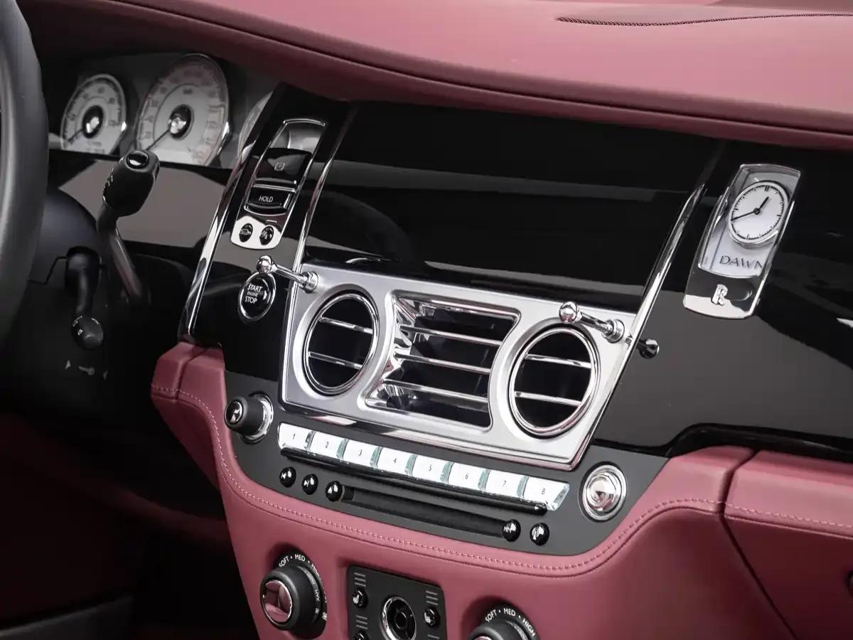 2018 Dawn 6.6T Standard Edition — миниатюра 14