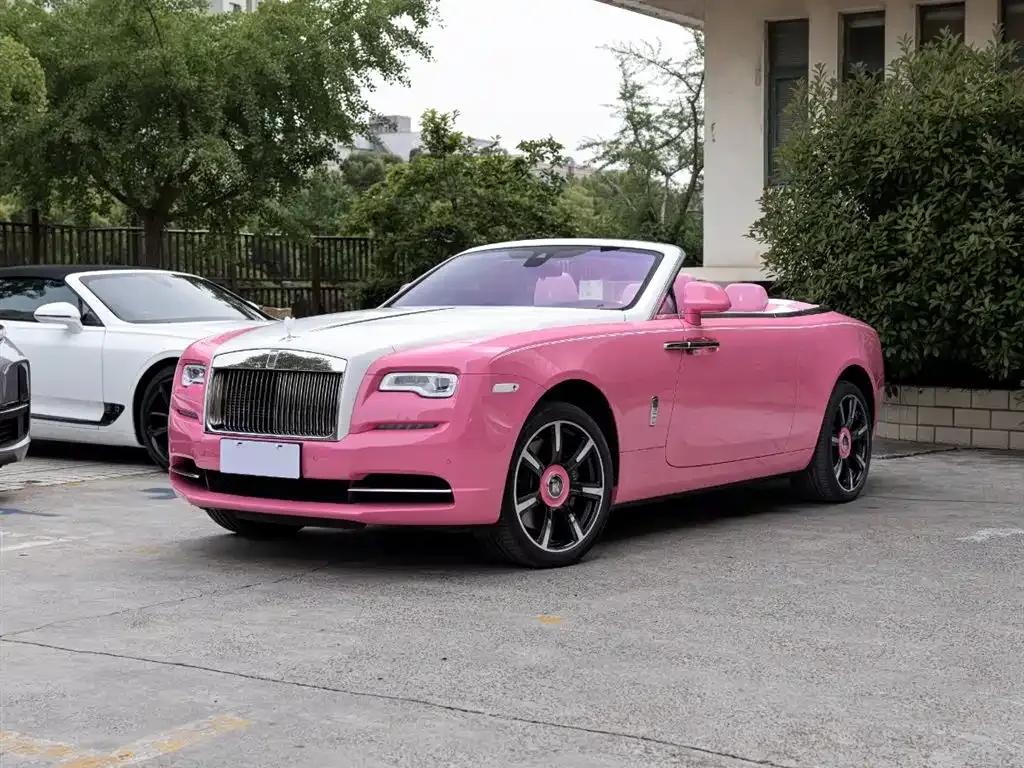 2018 Dawn 6.6T Standard Edition — миниатюра 1