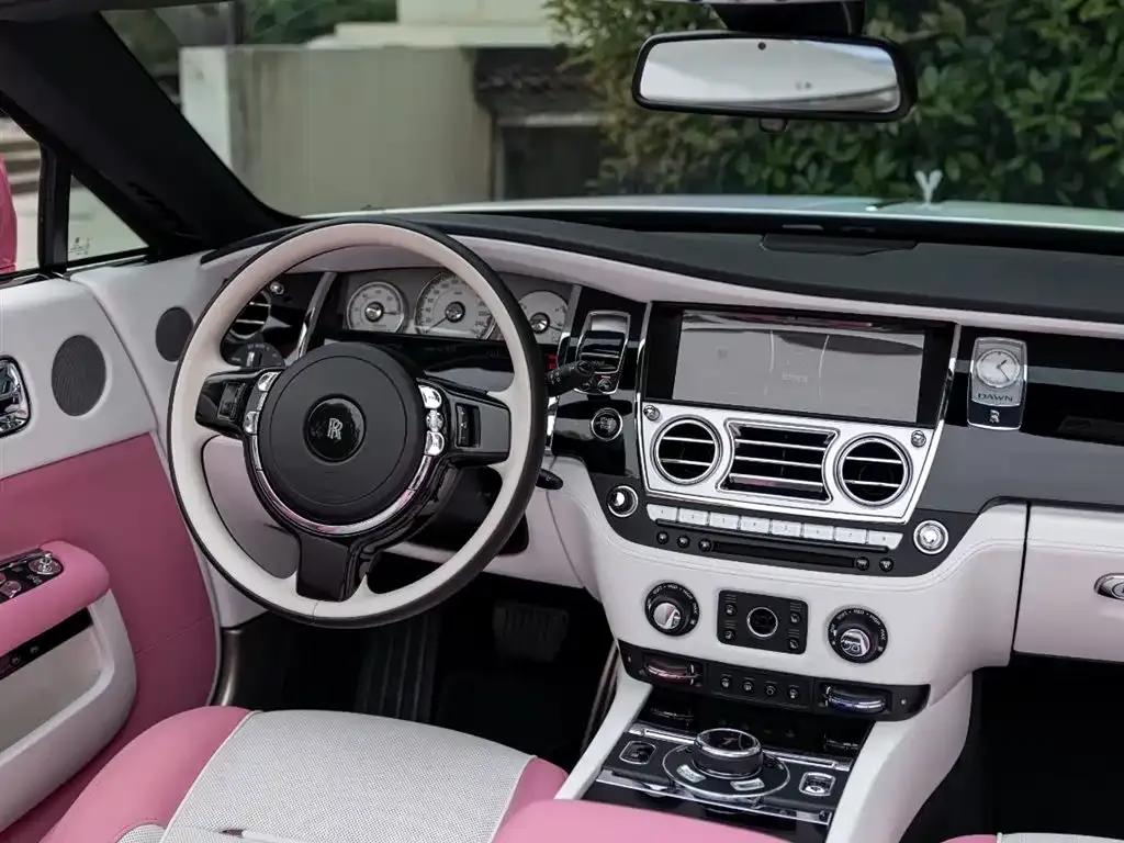 2018 Dawn 6.6T Standard Edition — миниатюра 11