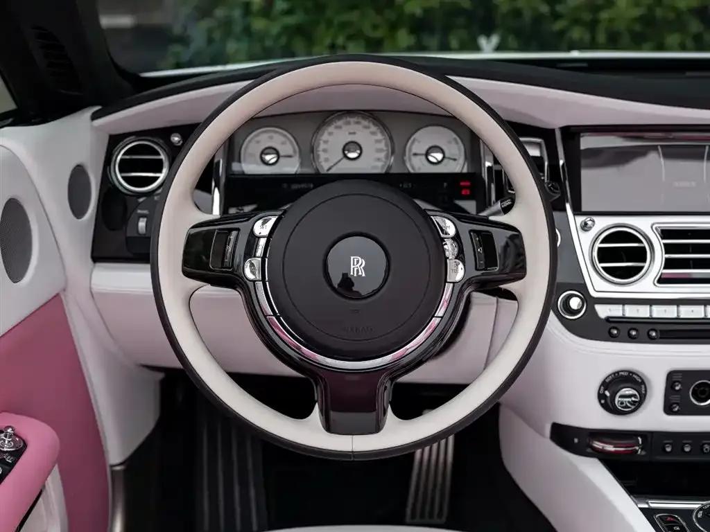 2018 Dawn 6.6T Standard Edition — миниатюра 12