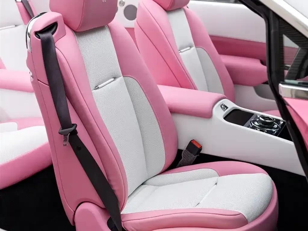 2018 Dawn 6.6T Standard Edition — миниатюра 18