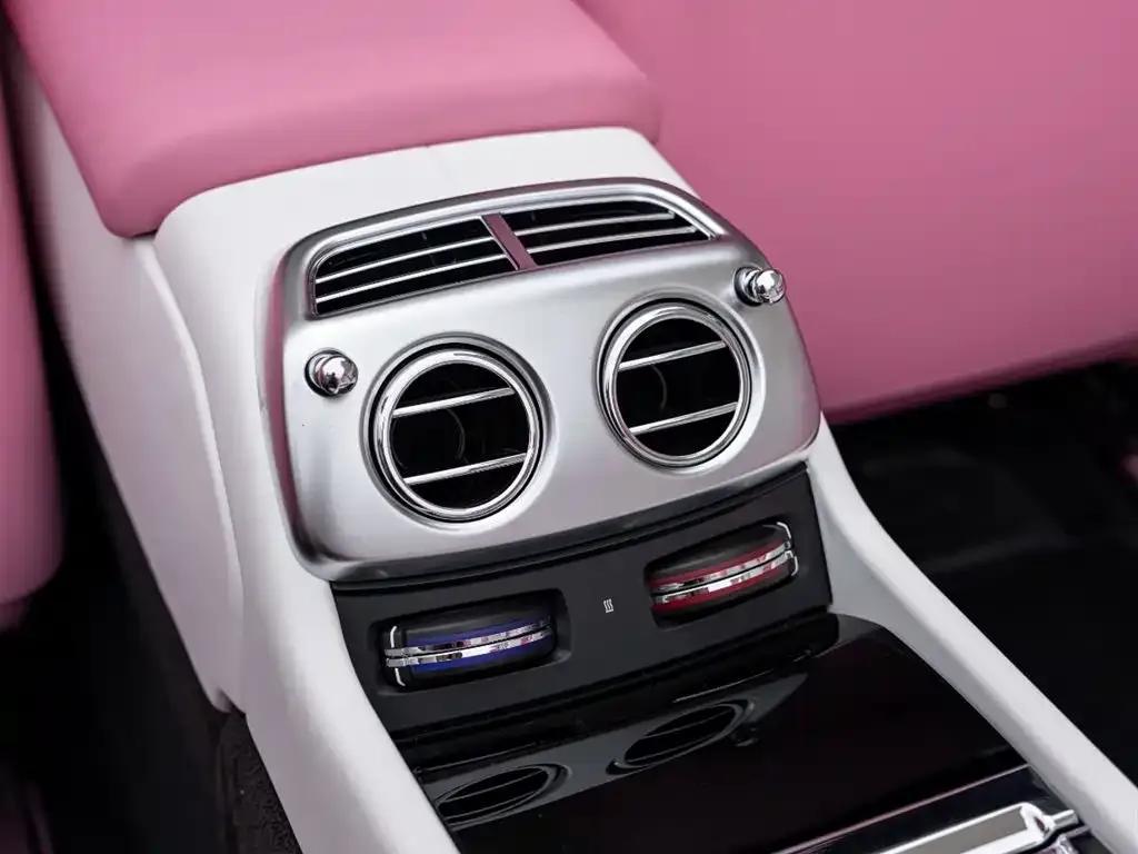 2018 Dawn 6.6T Standard Edition — миниатюра 22
