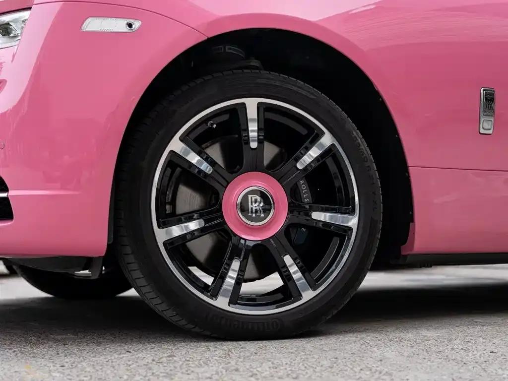 2018 Dawn 6.6T Standard Edition — миниатюра 8