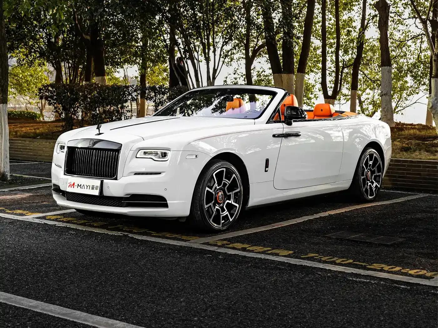2018 Dawn 6.6T Standard Edition — миниатюра 1