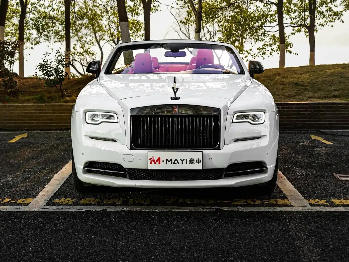 2018 Dawn 6.6T Standard Edition — миниатюра 2