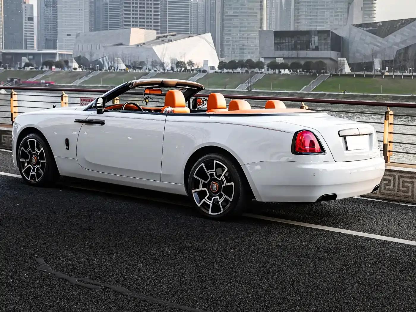 2018 Dawn 6.6T Standard Edition — миниатюра 4