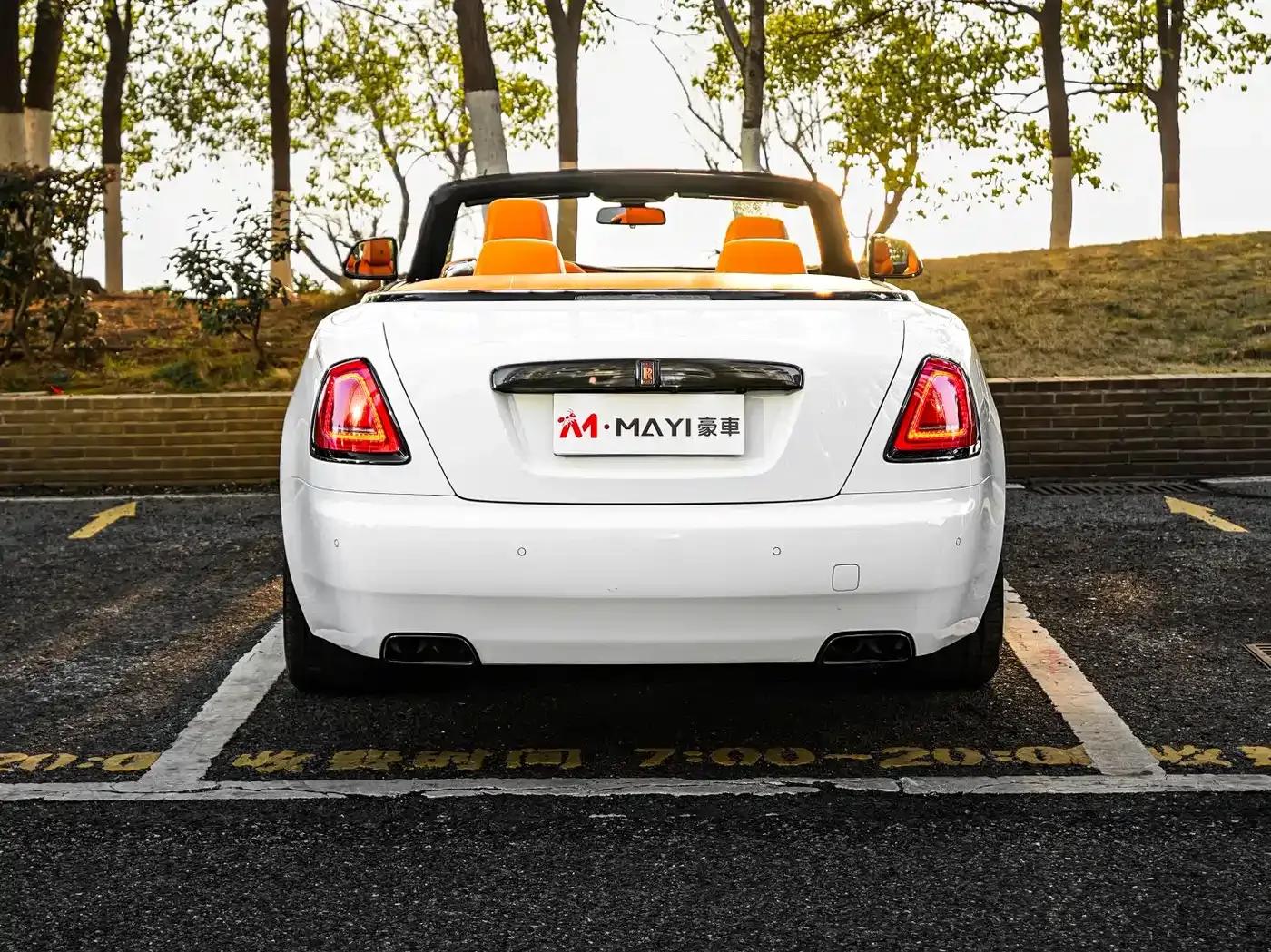 2018 Dawn 6.6T Standard Edition — миниатюра 5