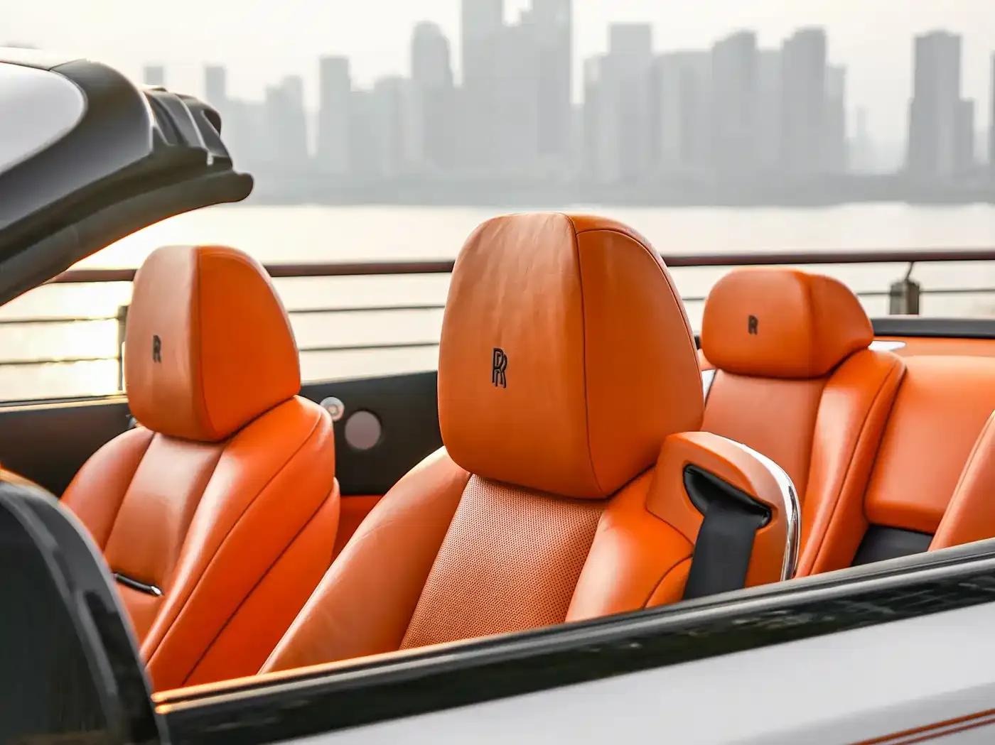 2018 Dawn 6.6T Standard Edition — миниатюра 10