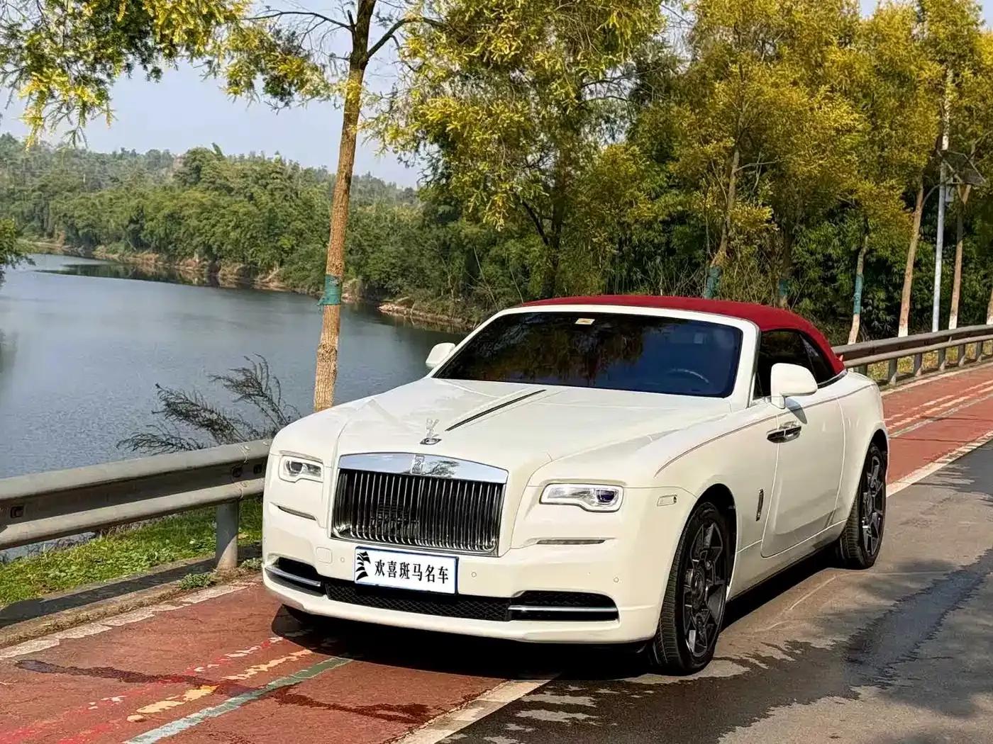 2018 Dawn 6.6T Standard Edition — миниатюра 1