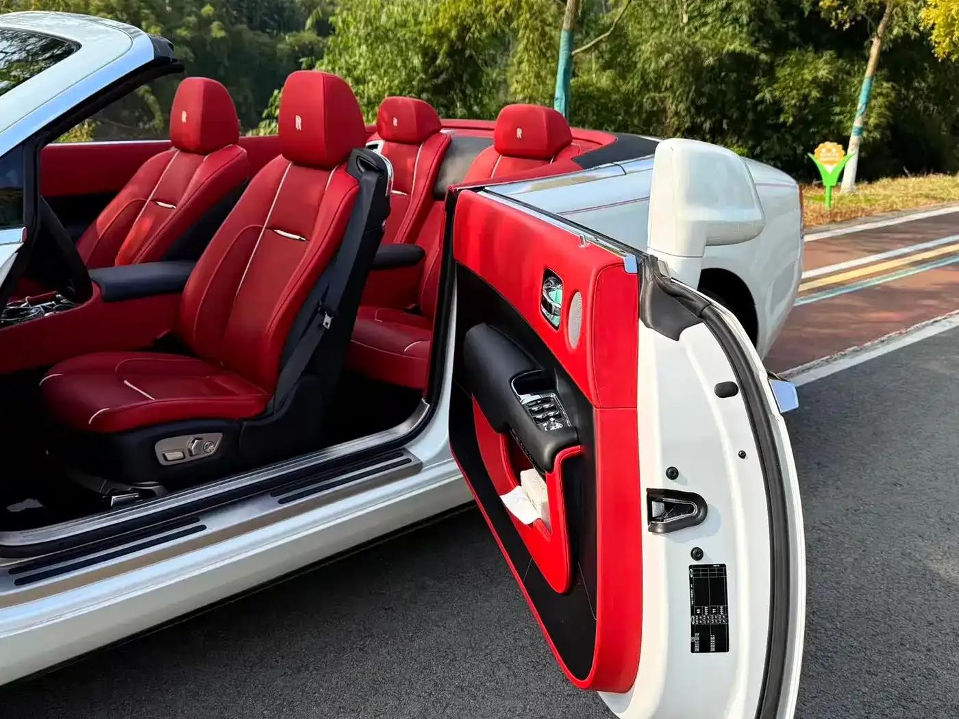 2018 Dawn 6.6T Standard Edition — миниатюра 12