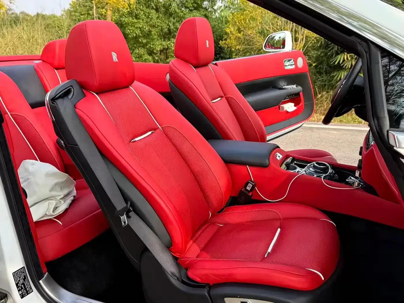 2018 Dawn 6.6T Standard Edition — миниатюра 13