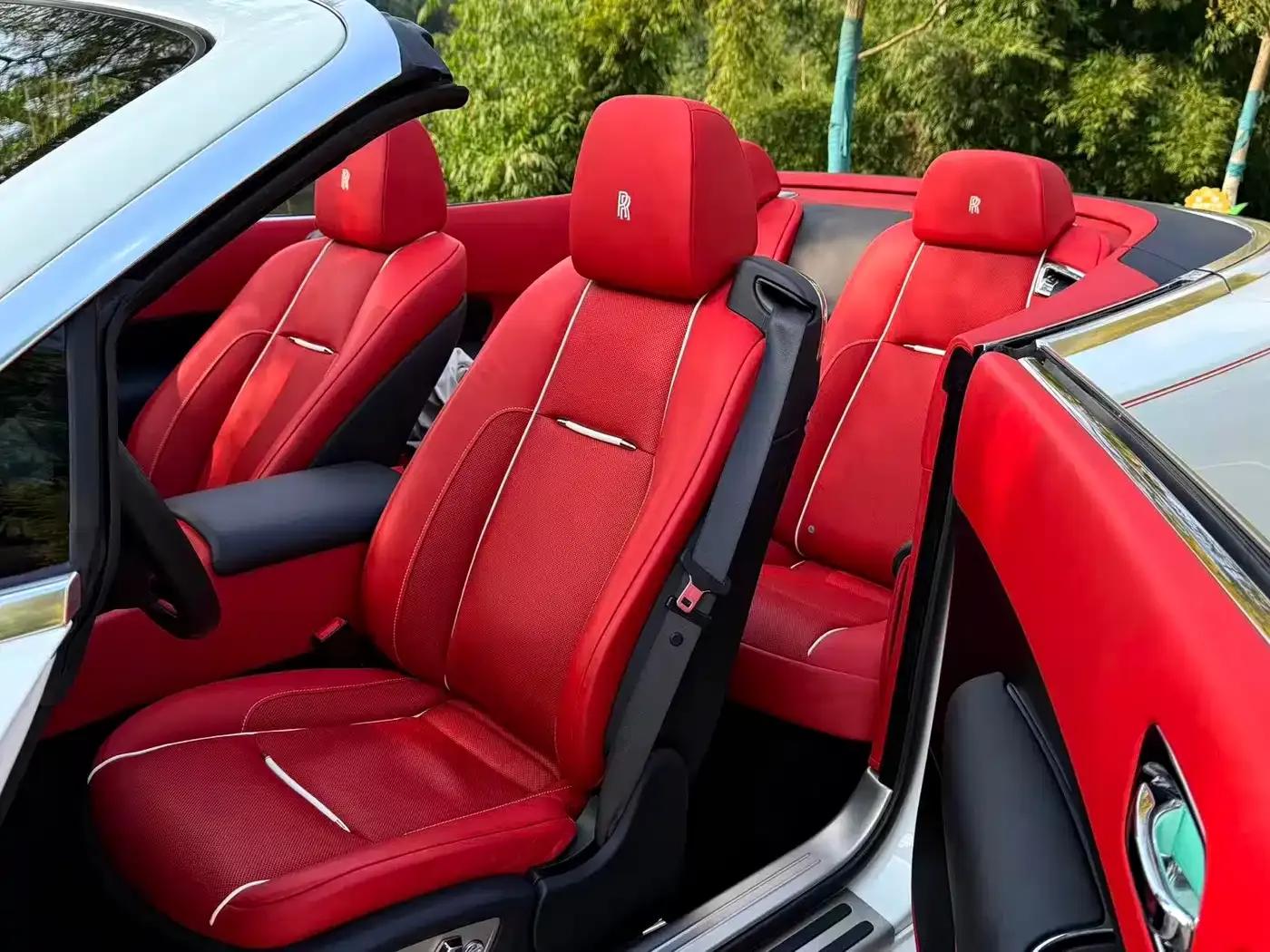 2018 Dawn 6.6T Standard Edition — миниатюра 14