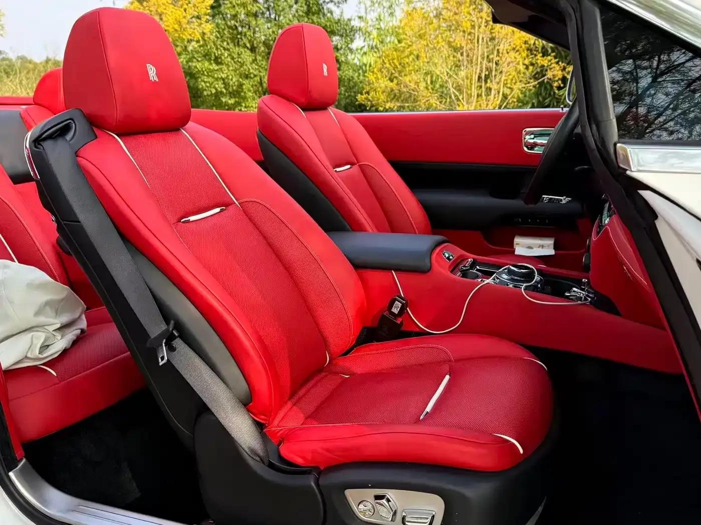 2018 Dawn 6.6T Standard Edition — миниатюра 16