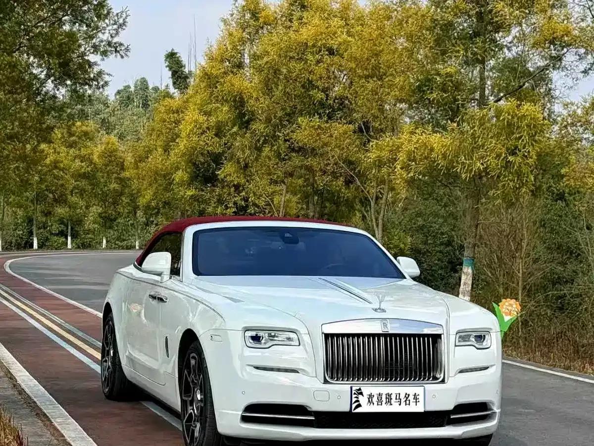 2018 Dawn 6.6T Standard Edition — миниатюра 3