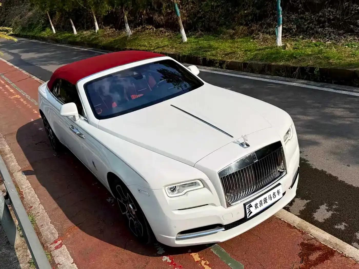2018 Dawn 6.6T Standard Edition — миниатюра 4
