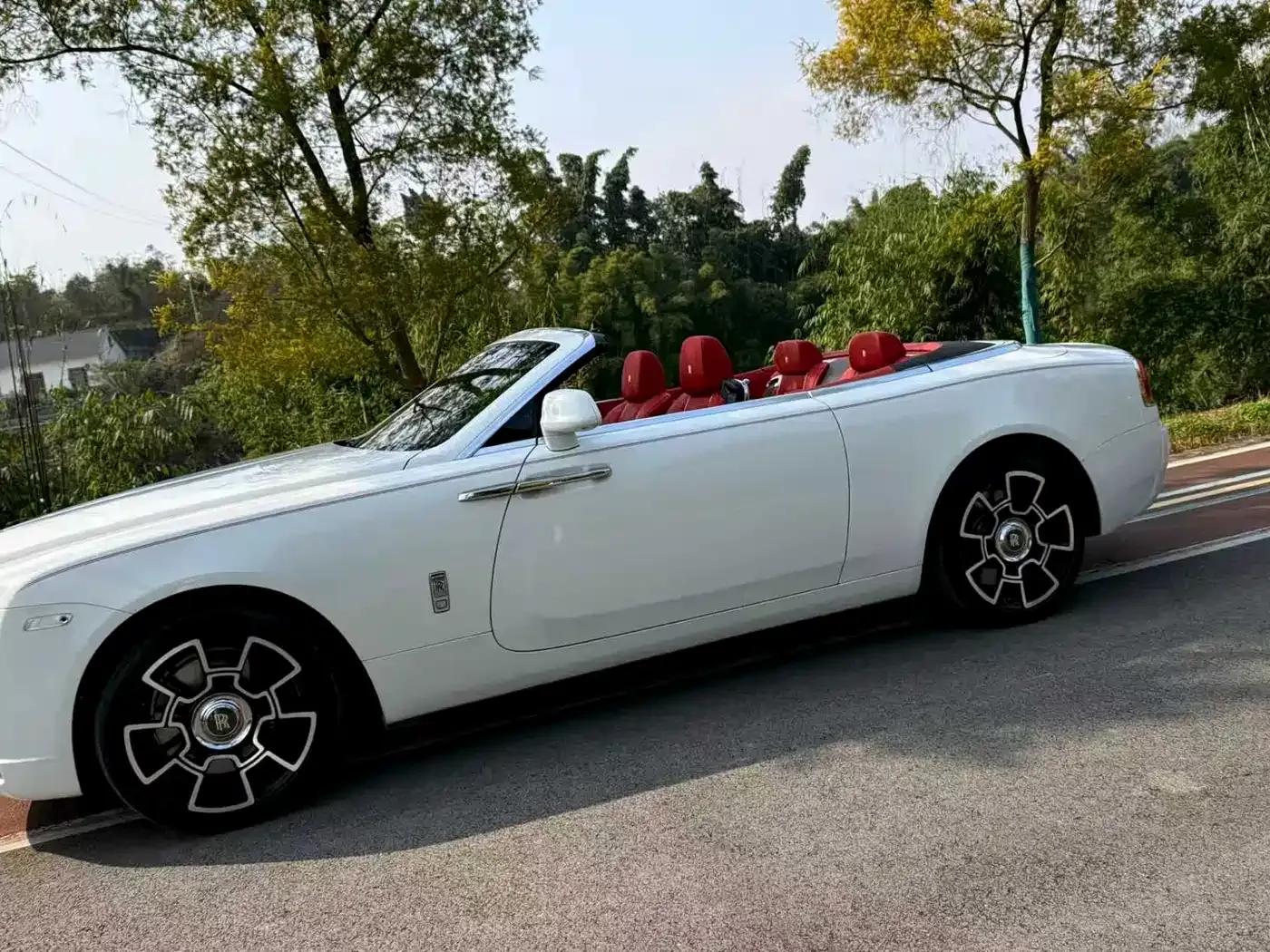 2018 Dawn 6.6T Standard Edition — миниатюра 6