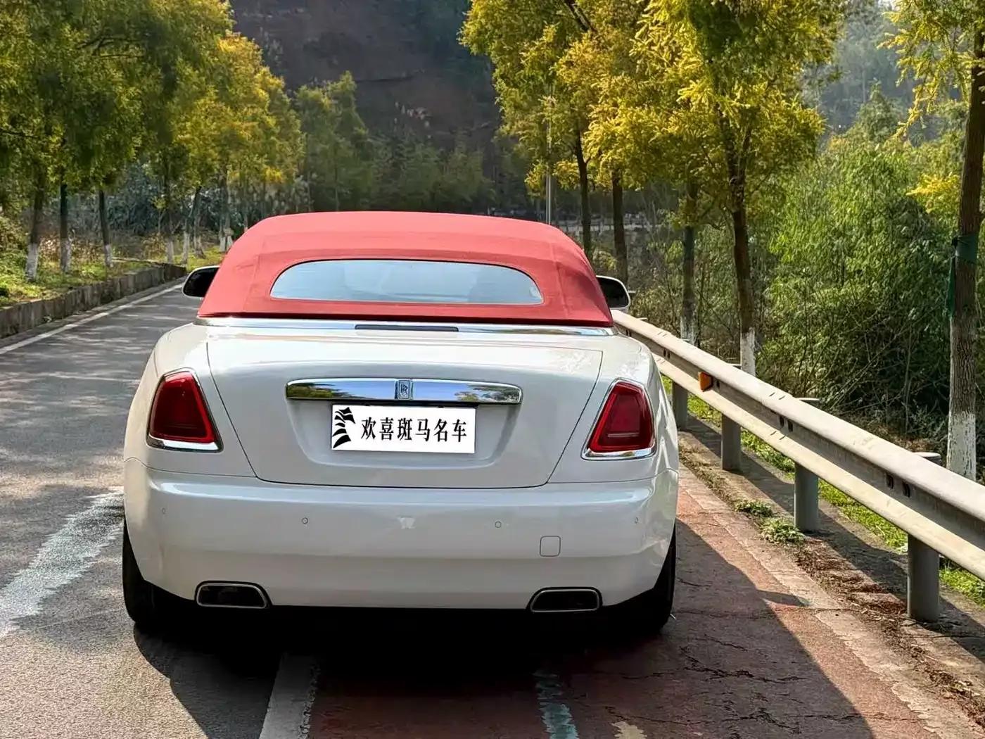 2018 Dawn 6.6T Standard Edition — миниатюра 7