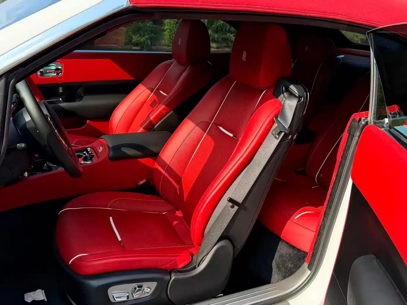 2018 Dawn 6.6T Standard Edition — миниатюра 9