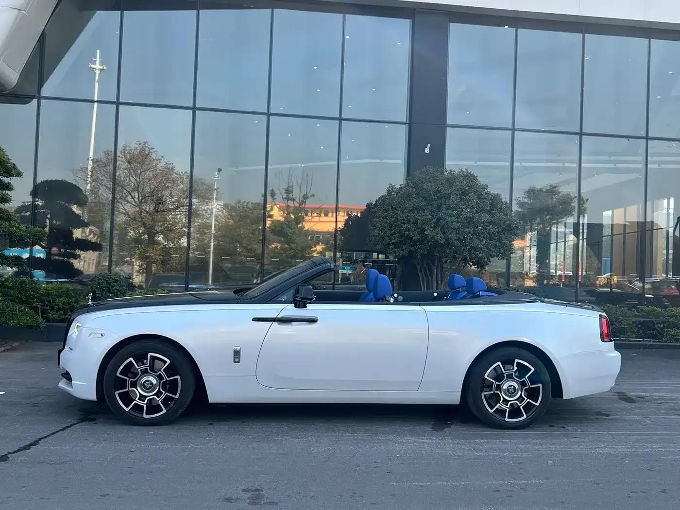 2018 Dawn 6.6T Standard Edition — миниатюра 11