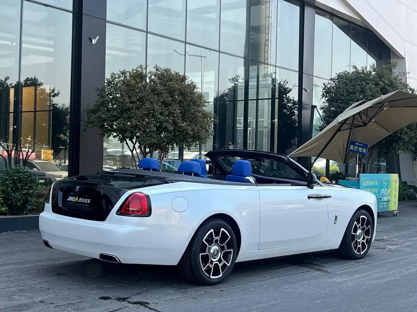 2018 Dawn 6.6T Standard Edition — миниатюра 12