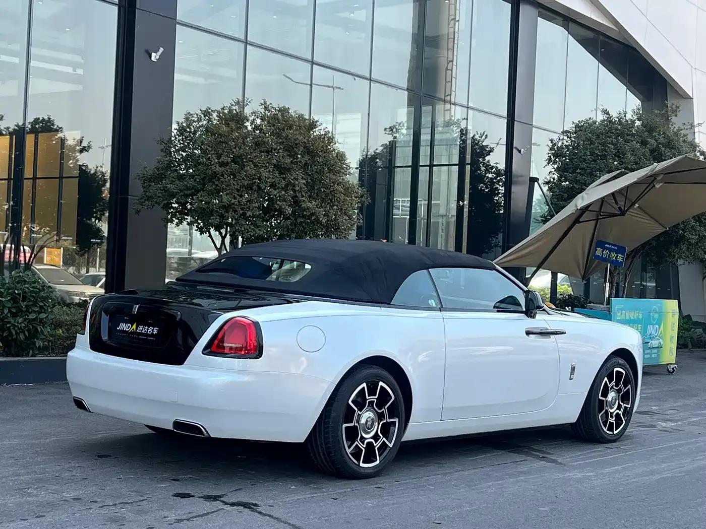 2018 Dawn 6.6T Standard Edition — миниатюра 13