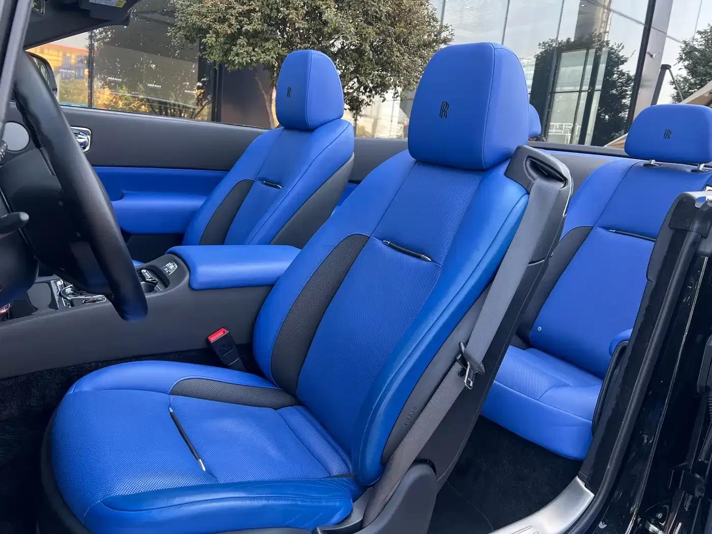 2018 Dawn 6.6T Standard Edition — миниатюра 6