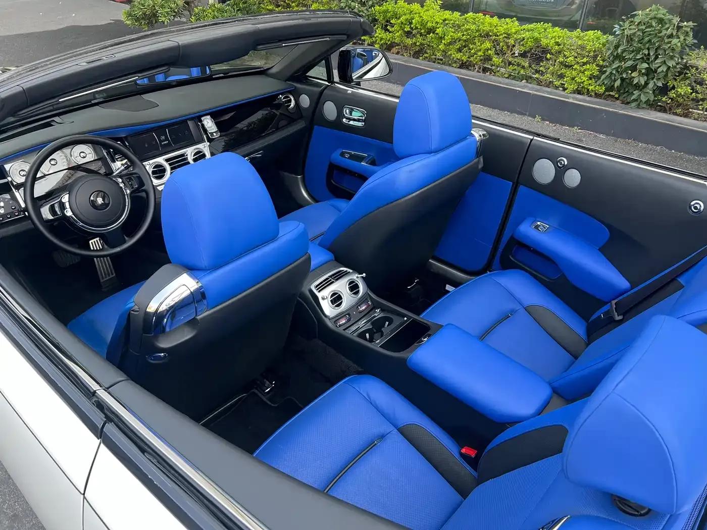 2018 Dawn 6.6T Standard Edition — миниатюра 8
