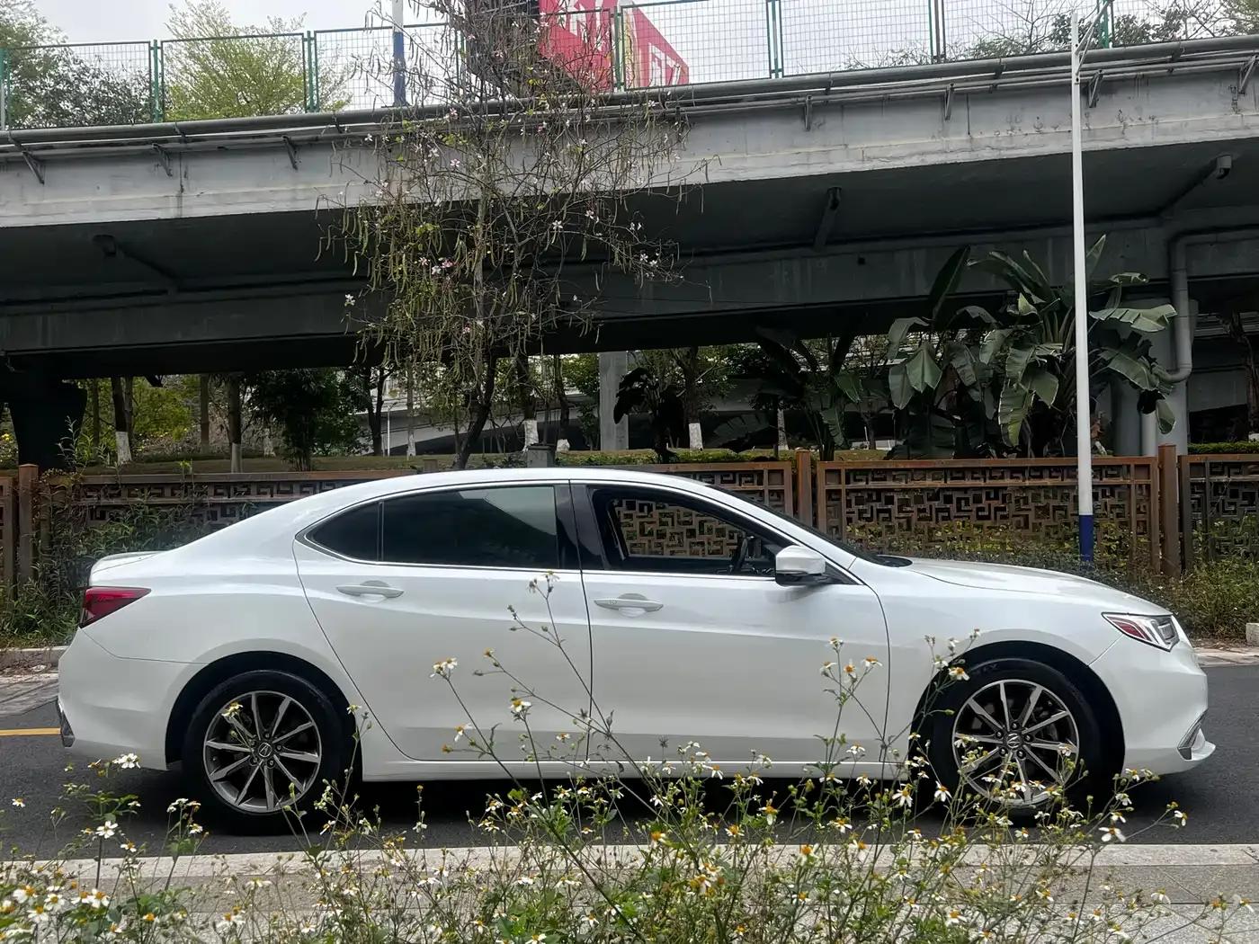 Acura TLX-L 2018 2.4L Enjoy Edition — миниатюра 10