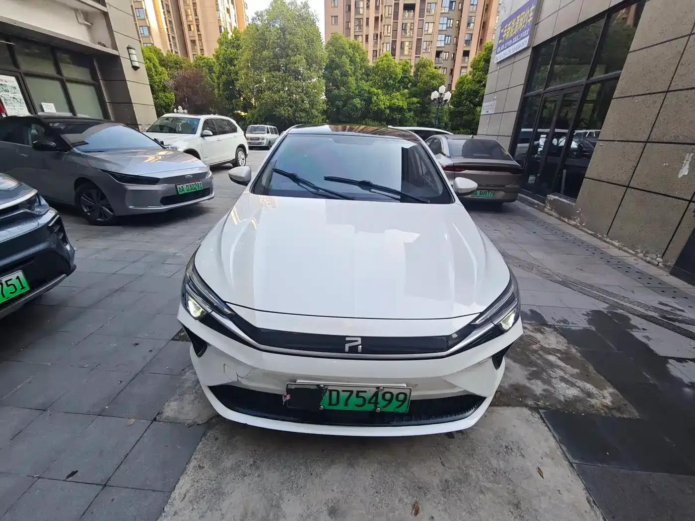Feifan ER6 2021 New Dynamic Edition 620km Smart Edition — миниатюра 2