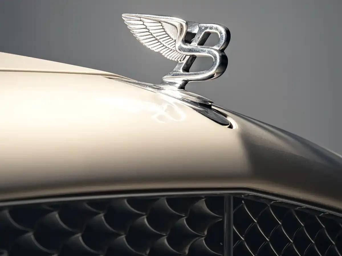 Elegant 2009 6.8T 90th Anniversary Edition — миниатюра 5