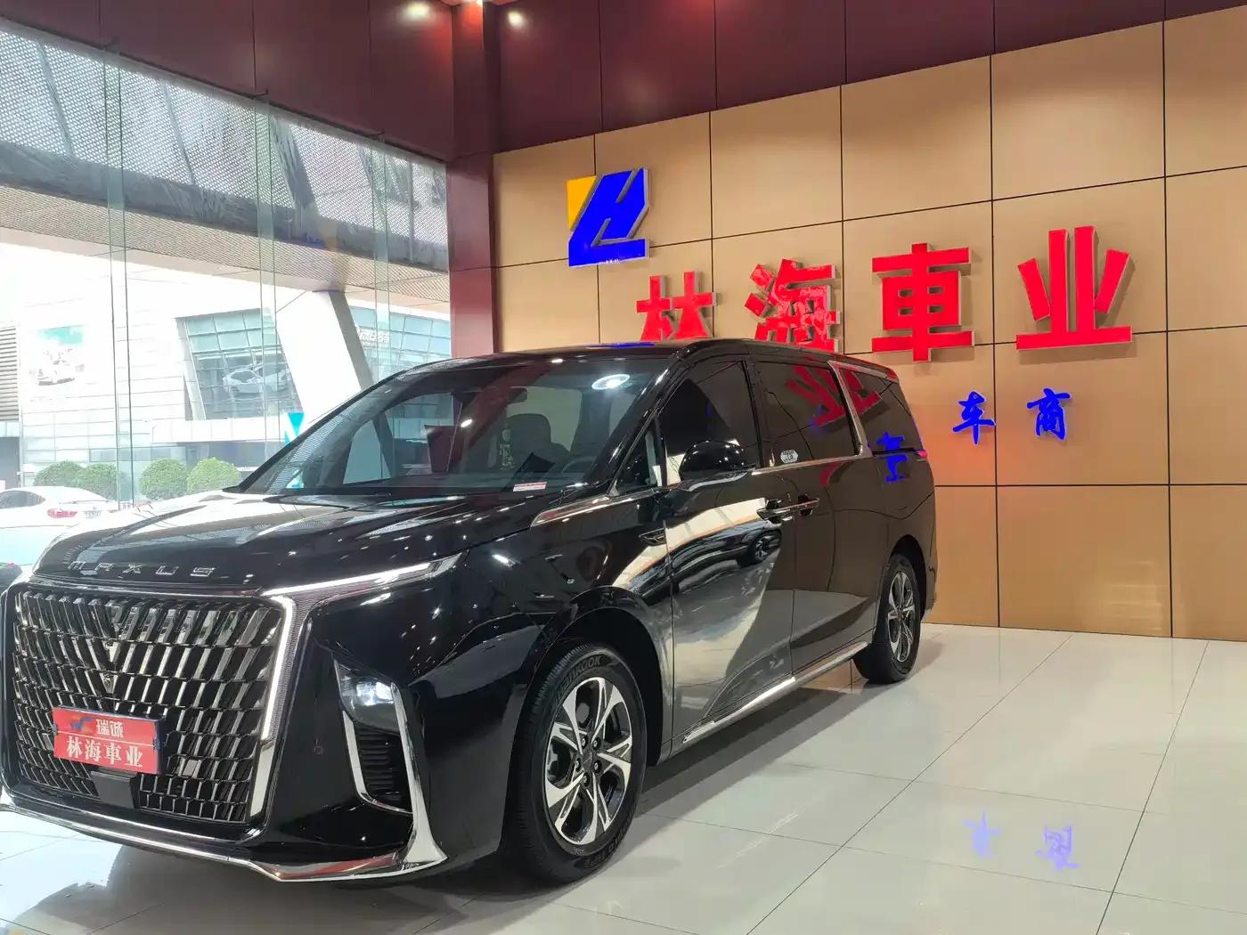 Maxus G90 2022 2.0T Galaxy 7-seater Edition — миниатюра 2