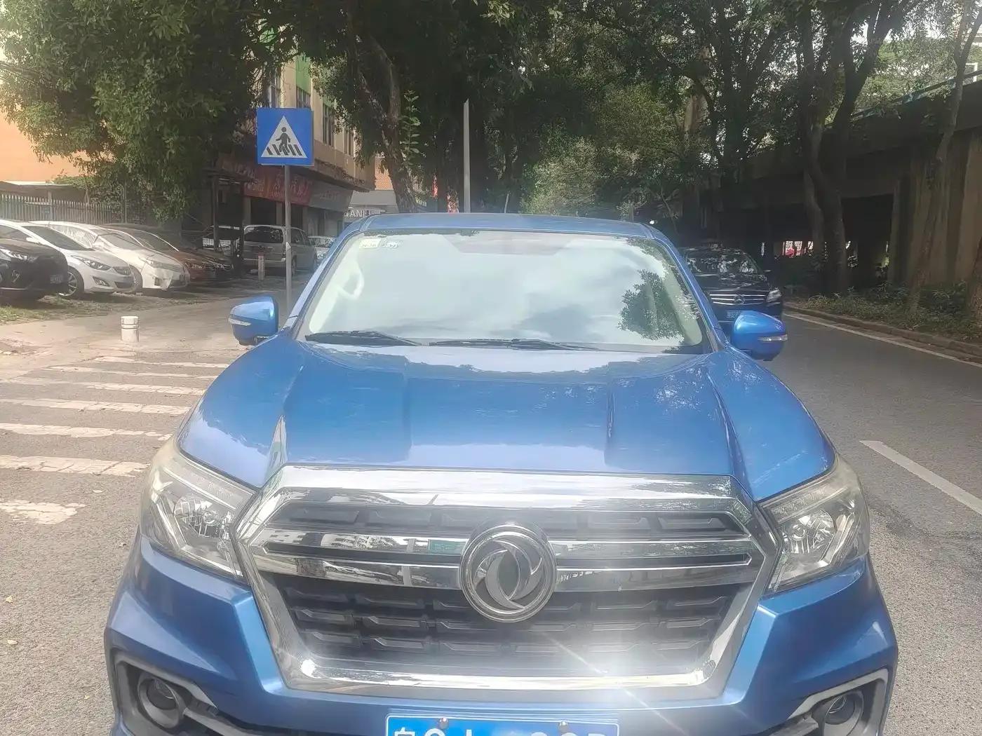 Rich 2019 2.4L Gasoline National VI Two-Wheel Drive Luxury Standard Box 2TZD — миниатюра 1