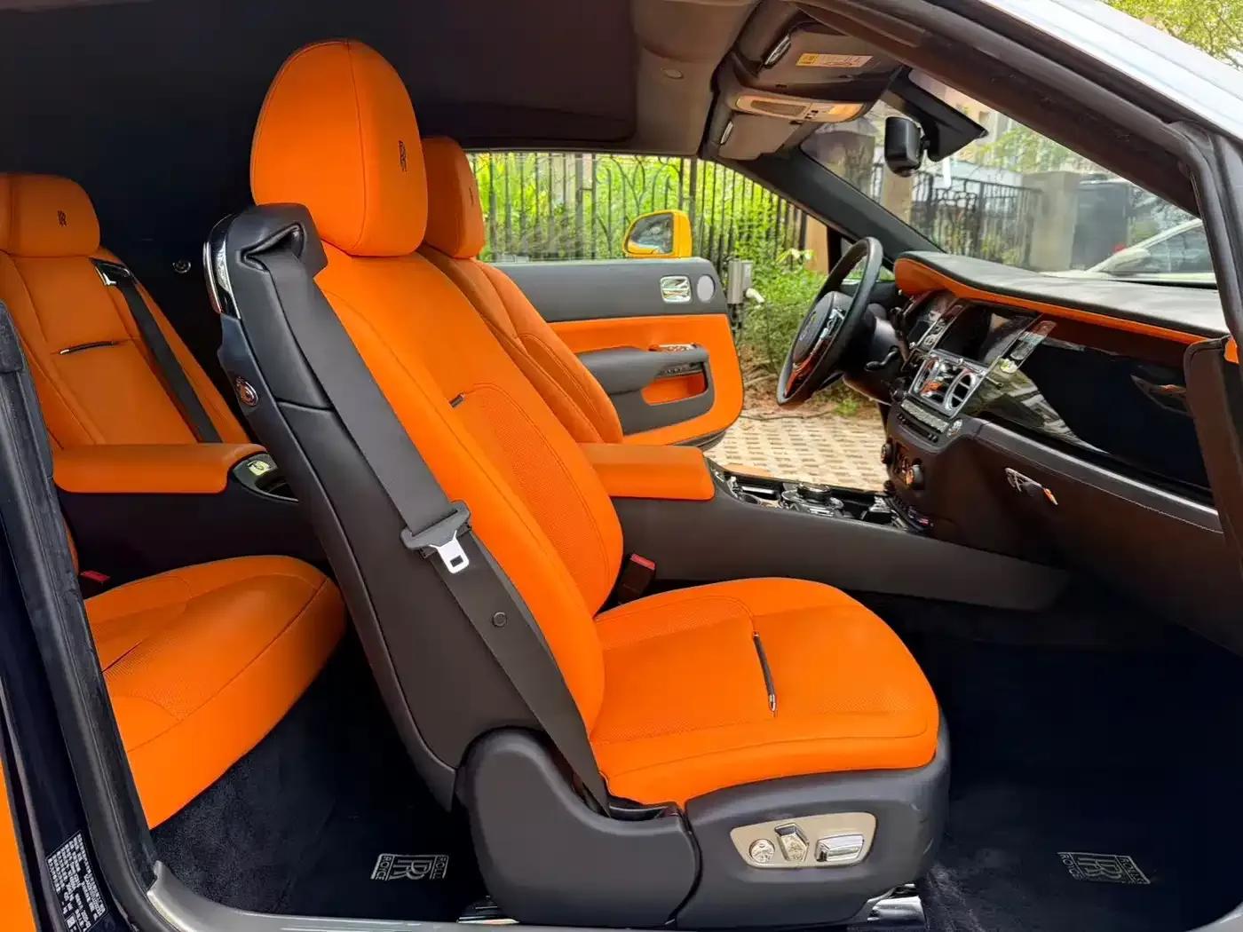 2018 Dawn 6.6T Standard Edition — миниатюра 17