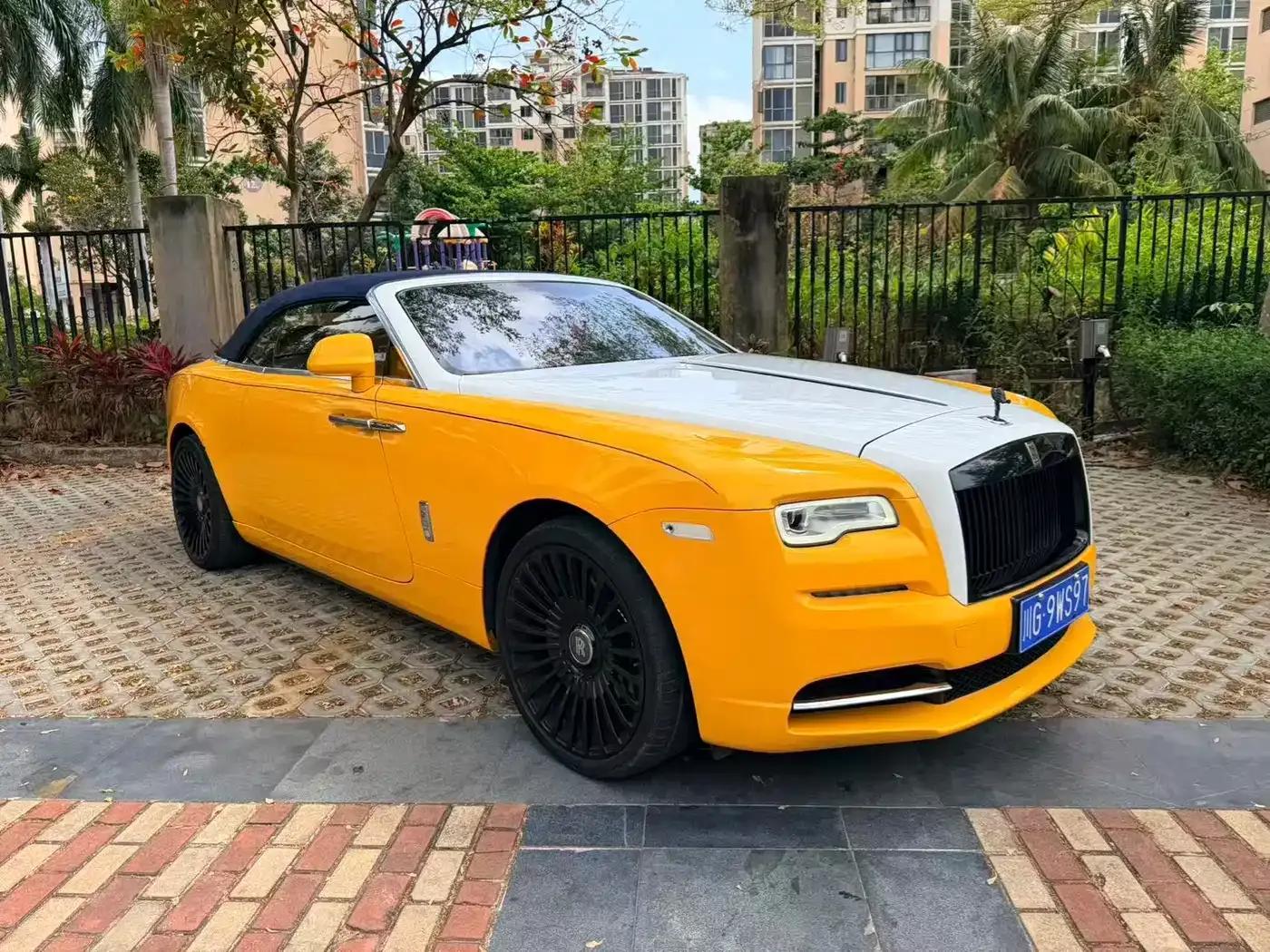 2018 Dawn 6.6T Standard Edition — миниатюра 3
