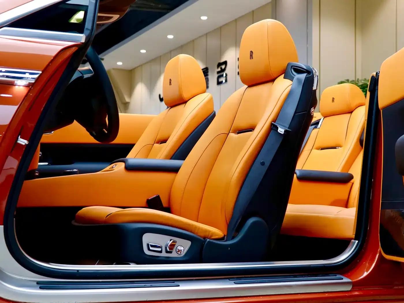 2015 Dawn 6.6T Standard Edition — миниатюра 10