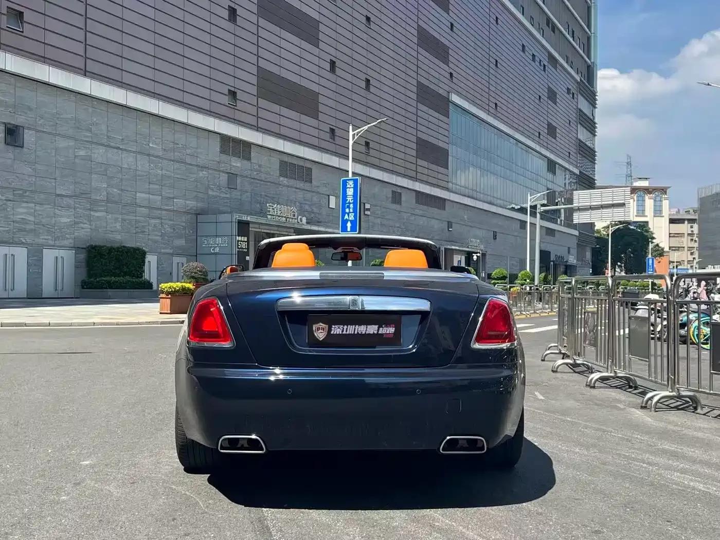 2018 Dawn 6.6T Standard Edition — миниатюра 3
