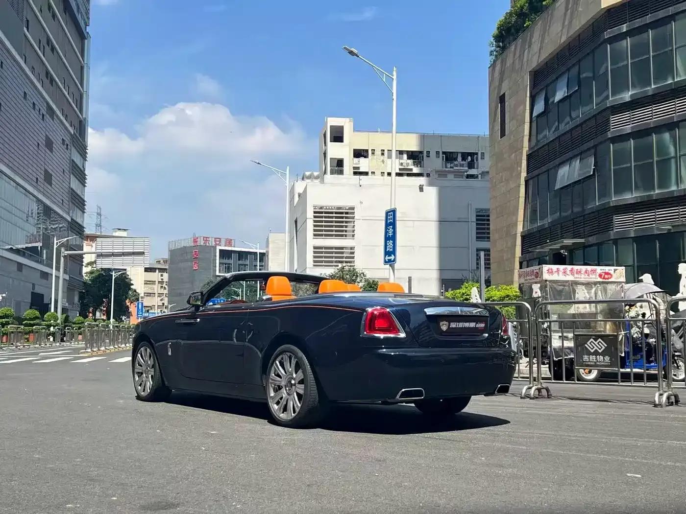2018 Dawn 6.6T Standard Edition — миниатюра 4