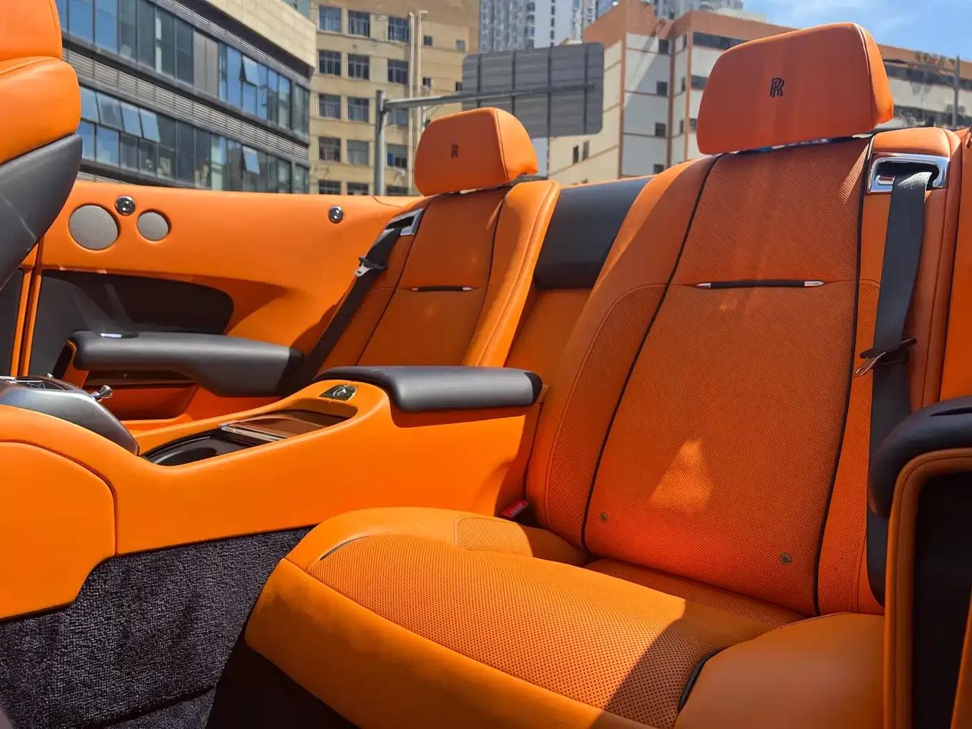 2018 Dawn 6.6T Standard Edition — миниатюра 8