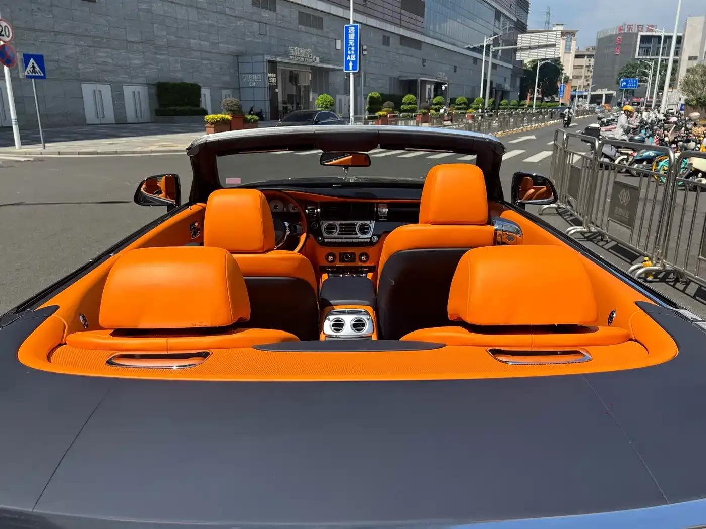 2018 Dawn 6.6T Standard Edition — миниатюра 10