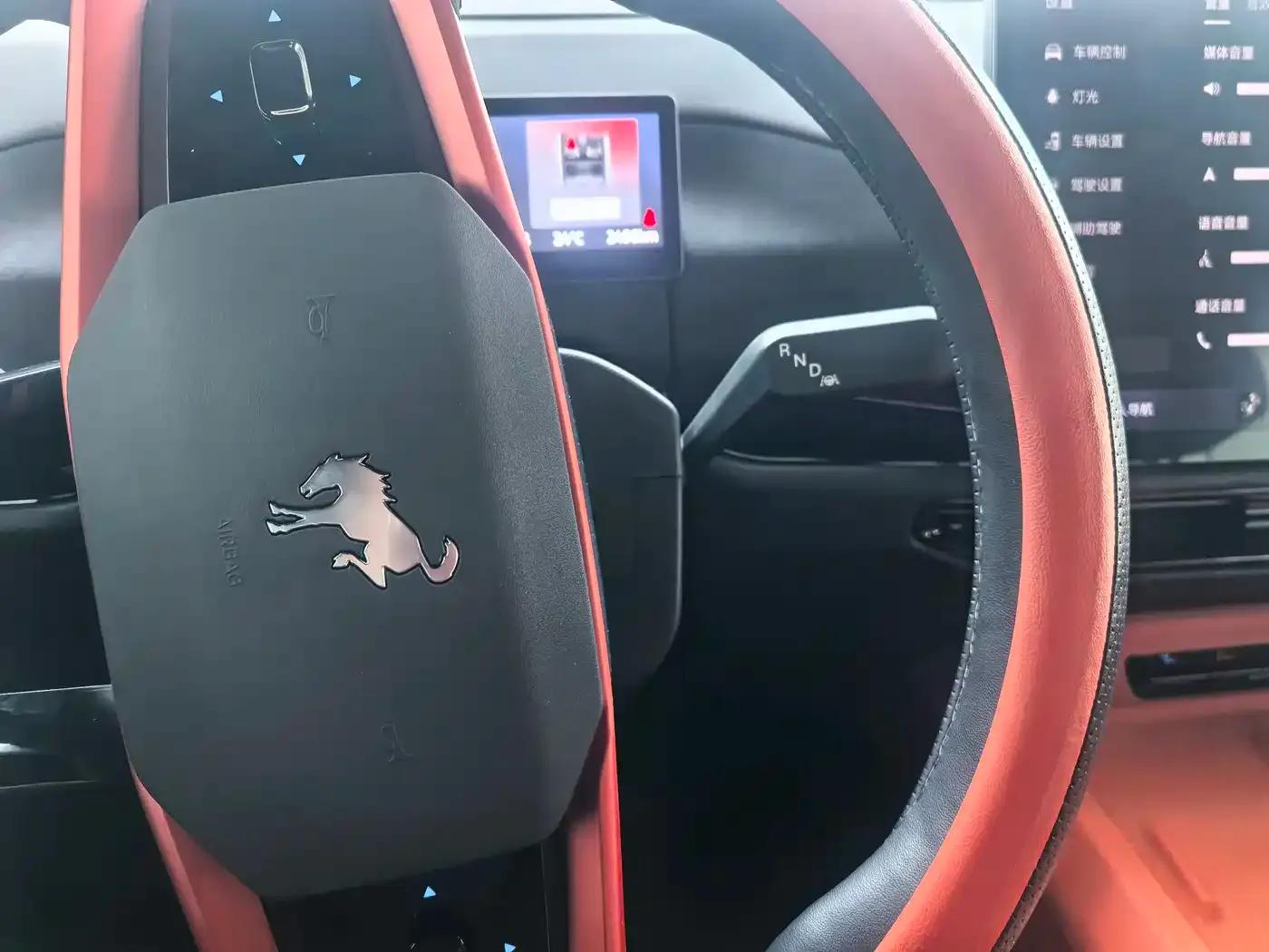 Ford Motor Romper 2026 Long Beach Extended Range — миниатюра 12
