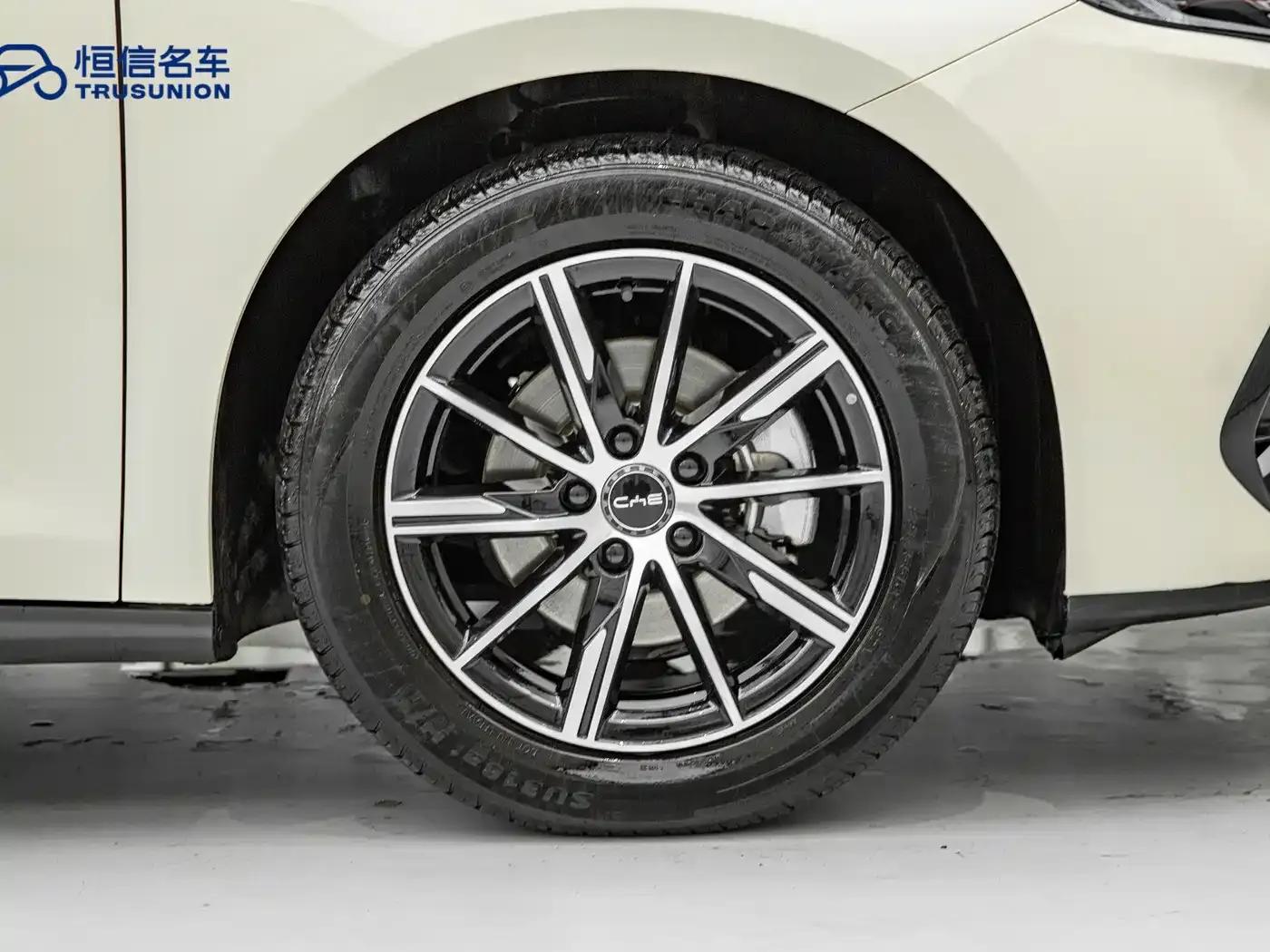 Seal 06 2024 DM-i 120KM Premium Edition — миниатюра 11