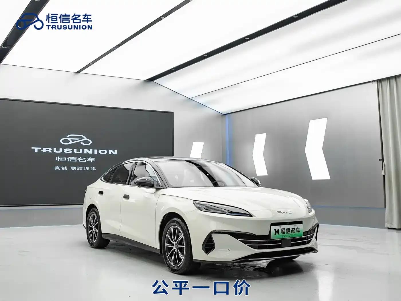 Seal 06 2024 DM-i 120KM Premium Edition — миниатюра 3