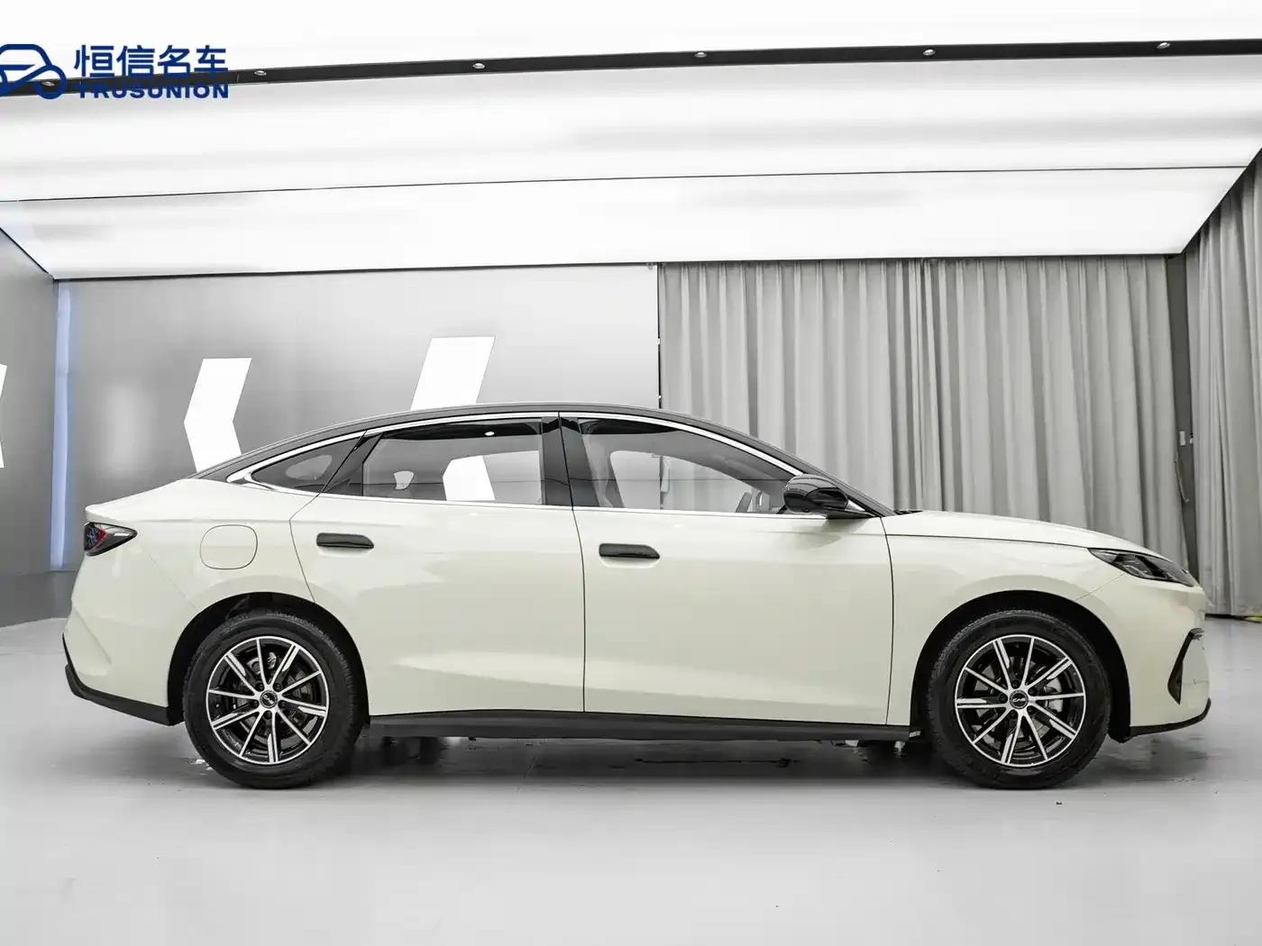 Seal 06 2024 DM-i 120KM Premium Edition — миниатюра 7