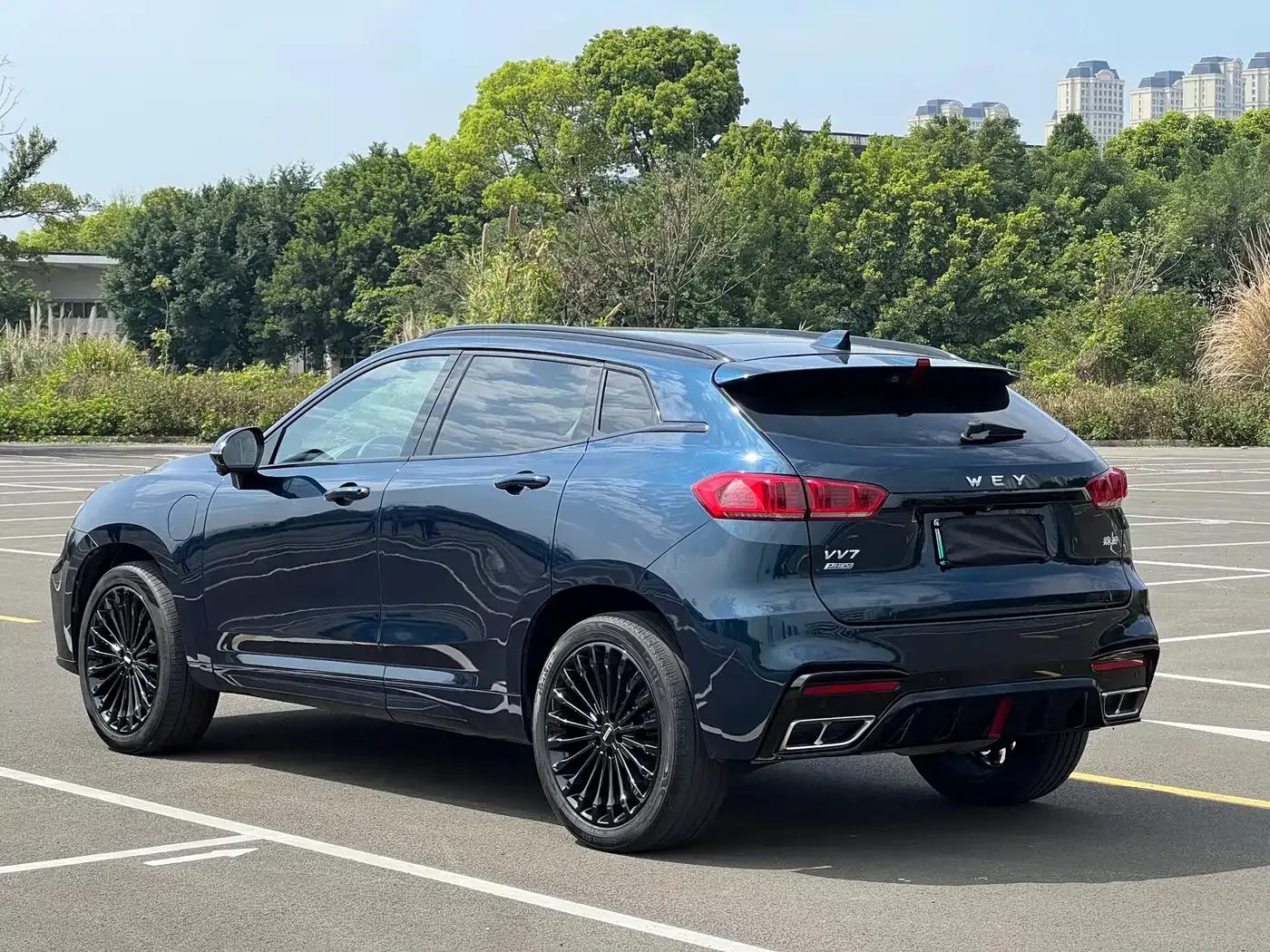 Weipai VV7 New Energy 2020 PHEV 2.0T Flagship Edition — миниатюра 12