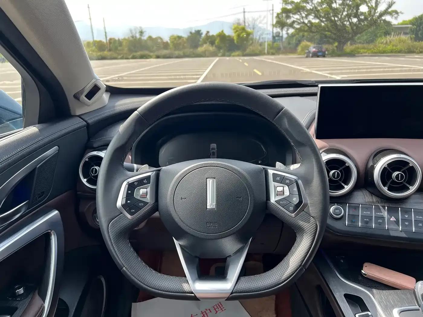 Weipai VV7 New Energy 2020 PHEV 2.0T Flagship Edition — миниатюра 8
