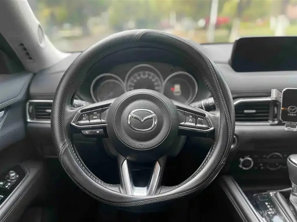 Mazda CX-8 2019 2.5L 2WD Luxury — миниатюра 15