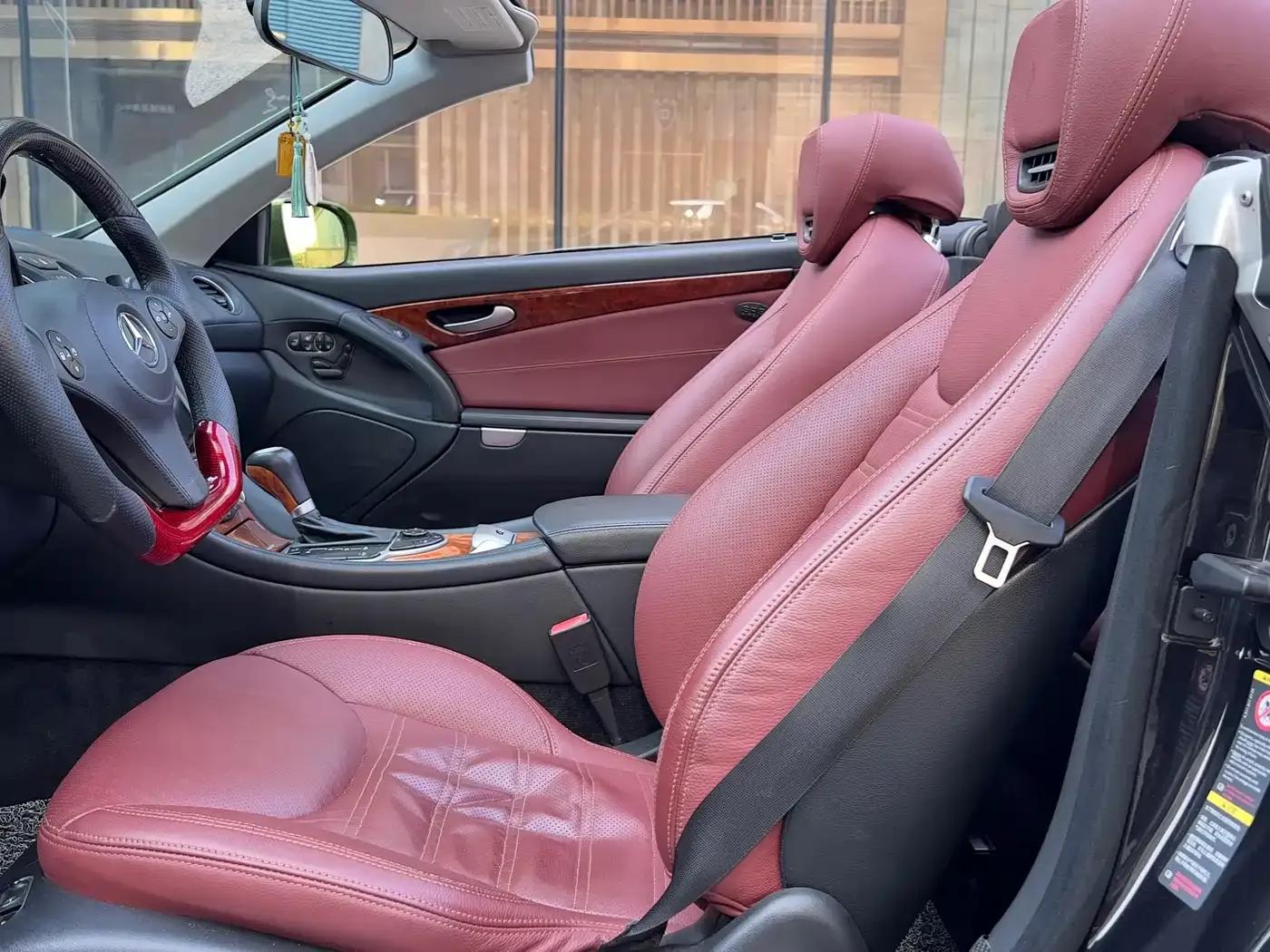 Mercedes-Benz SL-Class 2010 SL 300 — миниатюра 16